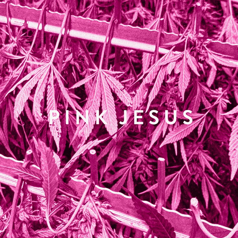 Pink Jesus – Eau de Parfum – Sample