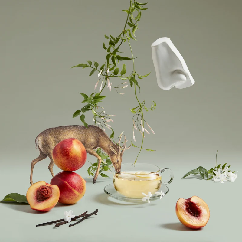 Penhaligon's - British Tales - Artemisia