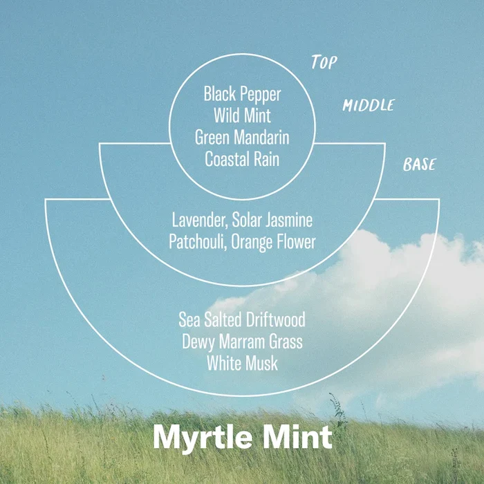 Alchemy Line: Myrtle Mint – Reed Diffuser