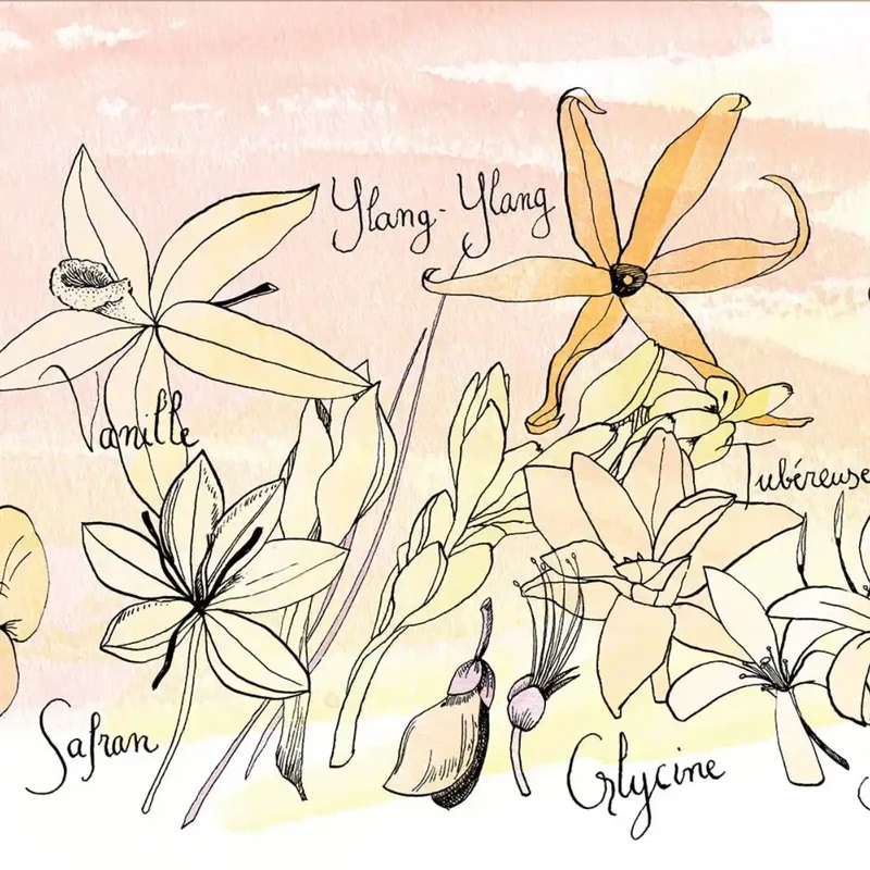 Une Nuit Nomade - Une Nuit a Bali - Fleur des Fleurs