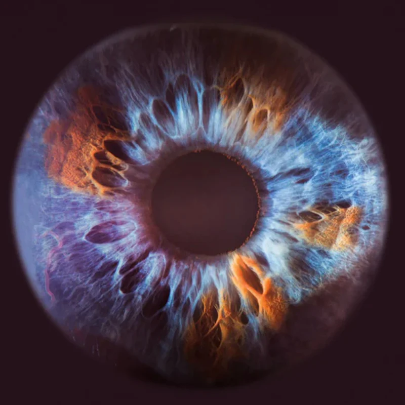Olfactive Studio - Close Up