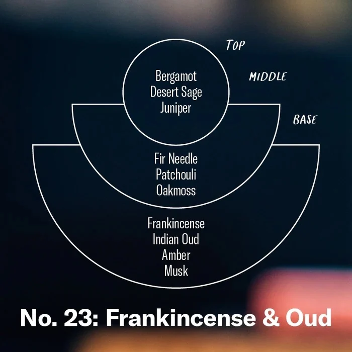 Frankincense & Oud – Limited Soy Candle Standard Size