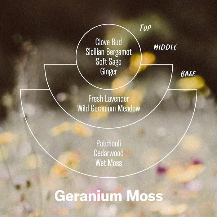 Alchemy Line: Geranium Moss – Soy Candle Standard Size