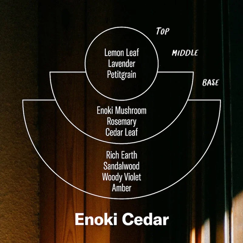 Alchemy Line: Enoki Cedar – Soy Candle Standard Size