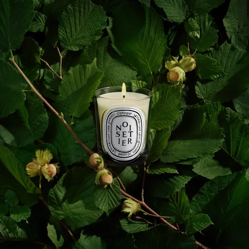 DIPTYQUE - Noisetier (Hasel) - Duftkerze