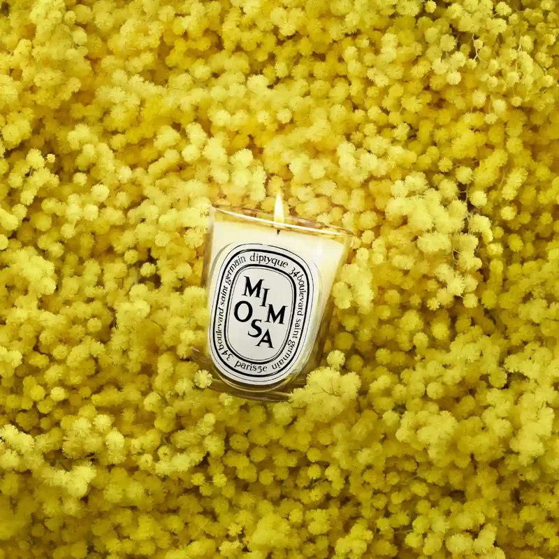 DIPTYQUE - Mimosa (Mimose) - Duftkerze