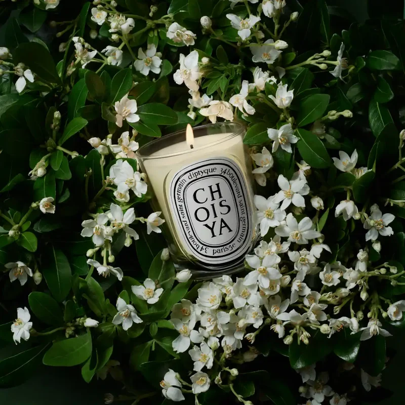 DIPTYQUE - Choisya (Mexikanische Orangenblume) - Duftkerze