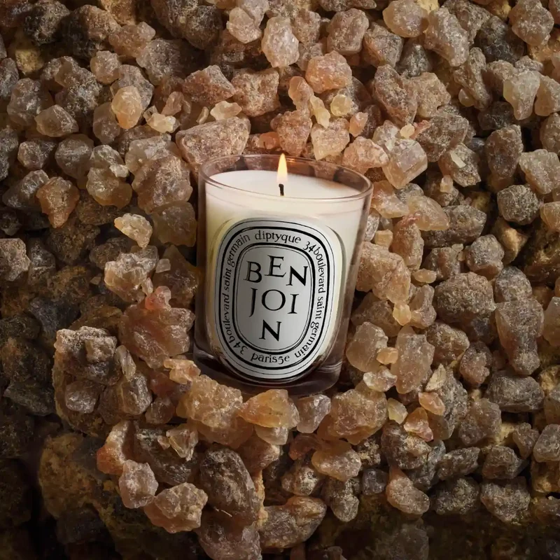 DIPTYQUE - Benjoin (Benzoe) - Duftkerze