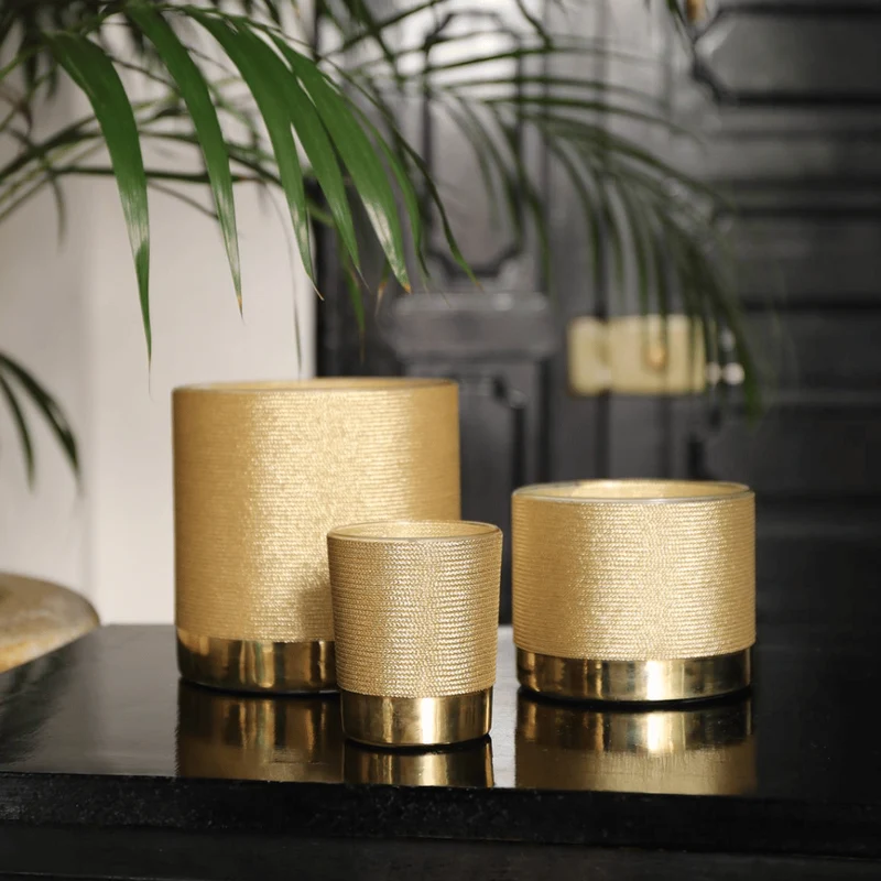 Sabra Gold - Fôret de Sapin