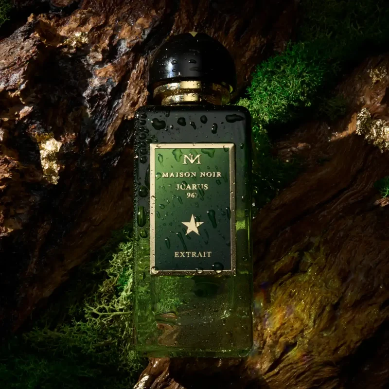 Maison Noir - Icarus 967