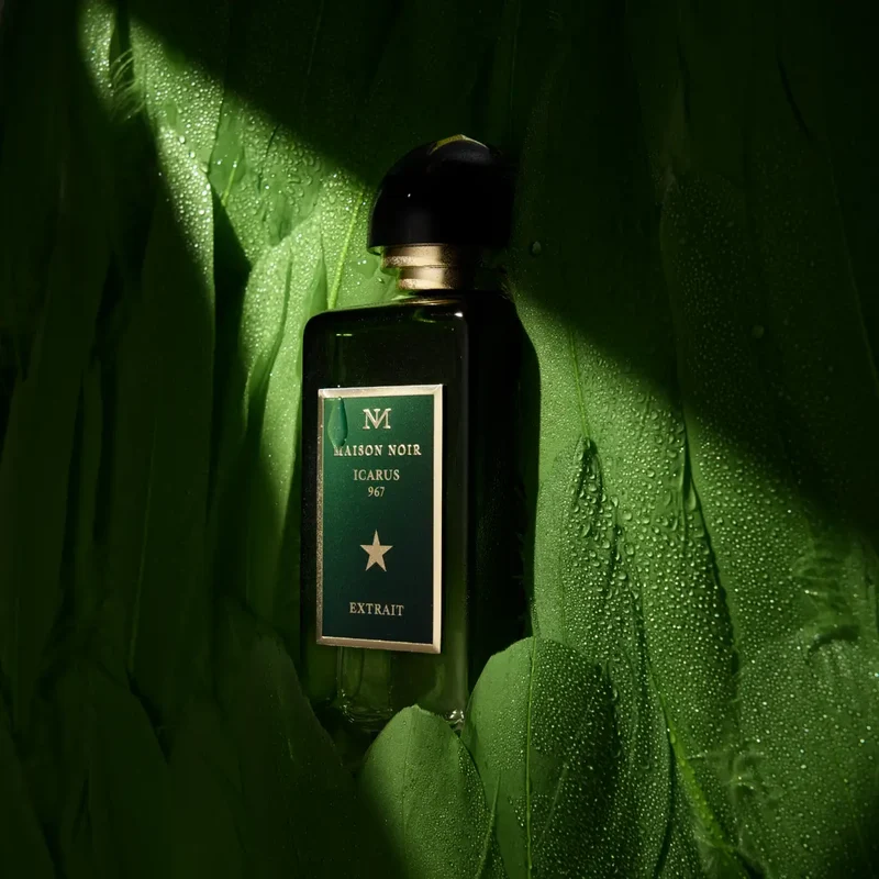 Maison Noir - Icarus 967