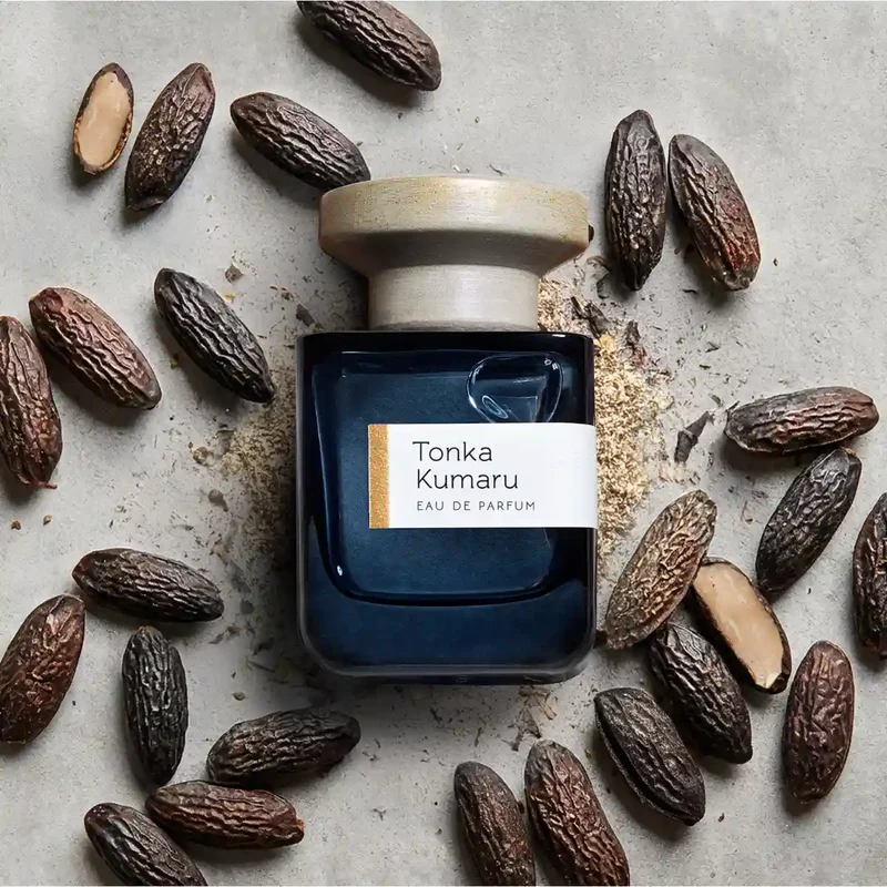 Atelier Materi - Tonka Kumaru