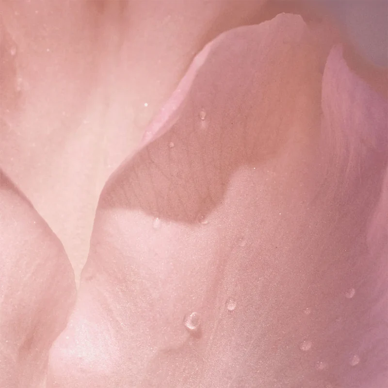 Coco Rose Deodorant