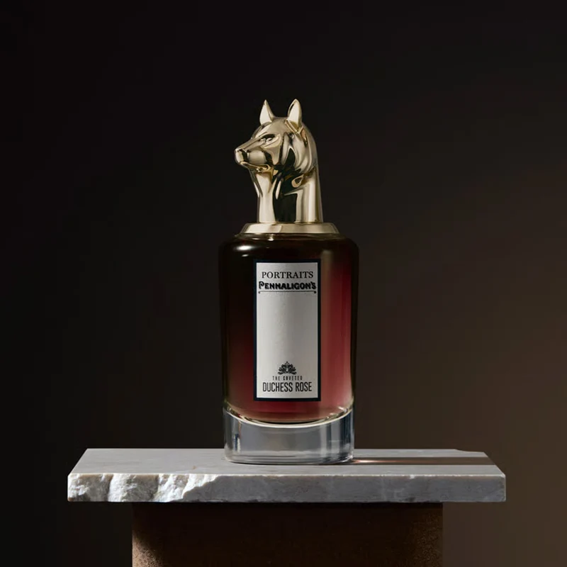 The Coveted Duchess Rose