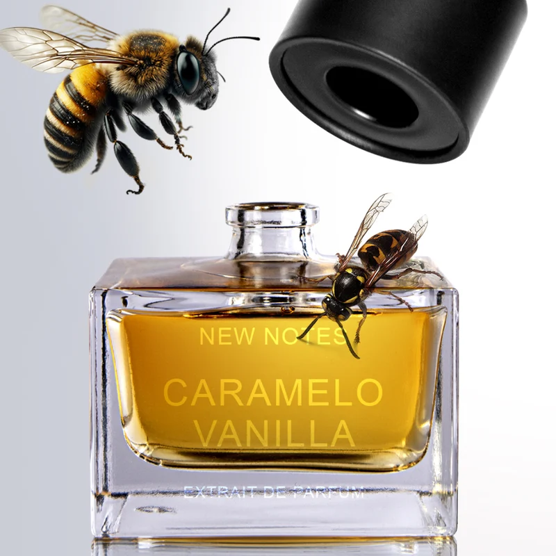 New Notes - Contemporary Blend Collection - Caramelo Vanilla