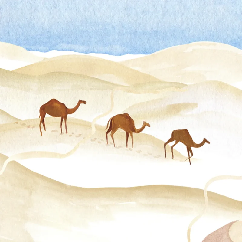 Une Nuit Nomade - Eau d'Oman - Sugar Leather
