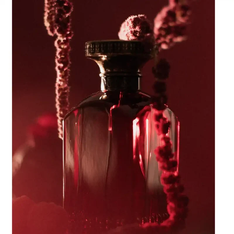 Anfas - Fosol Collection - Shaouq