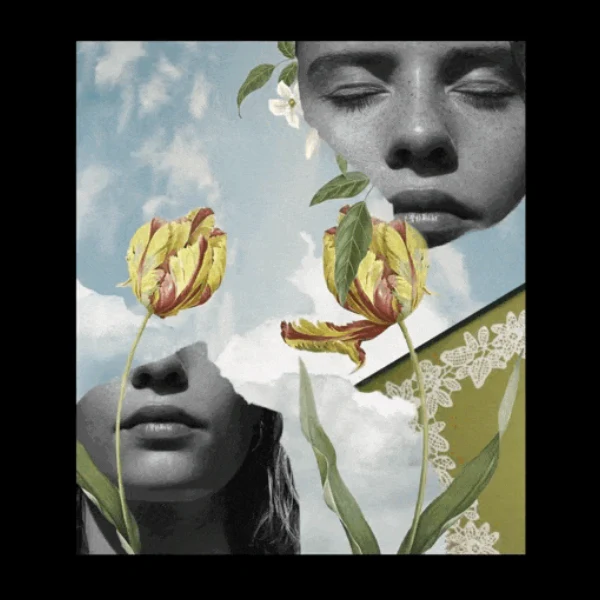 Le Galion - Tulipe