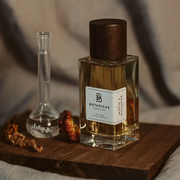 Botanicae - Matin à Mogador