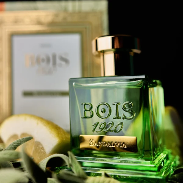 Bois 1920 - Sandalvia