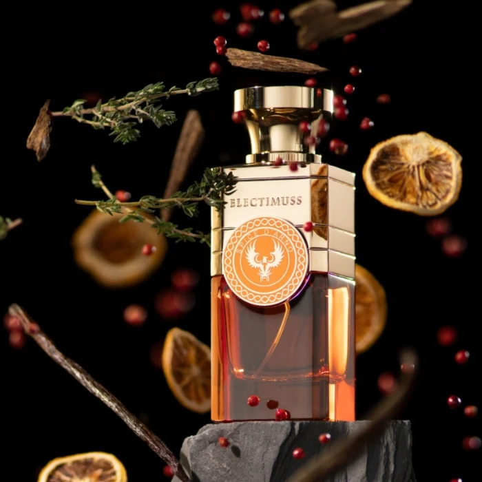 Electimuss - Spice d'Arno