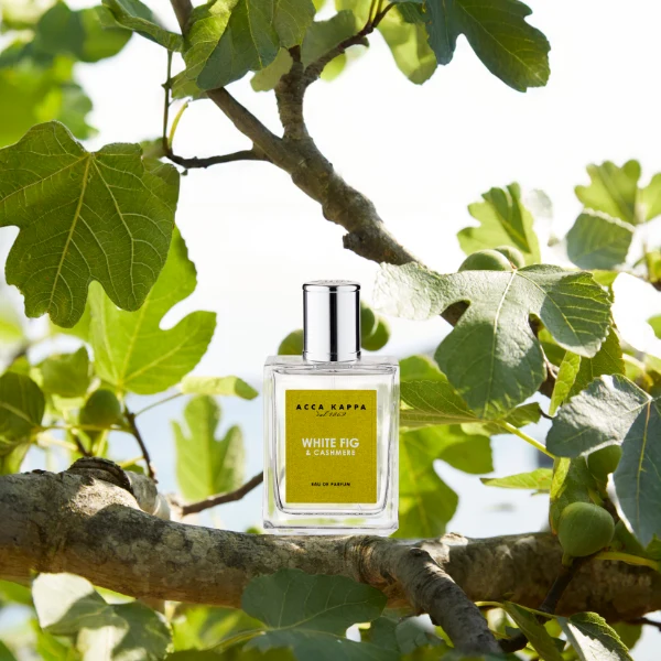 Acca Kappa - White Fig & Cashmere