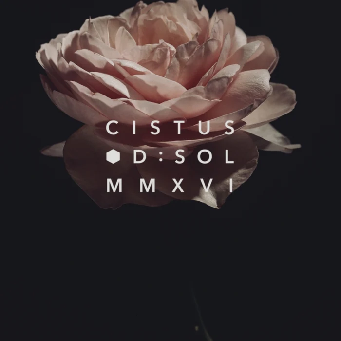 D:SOL MMXVI - Cistus