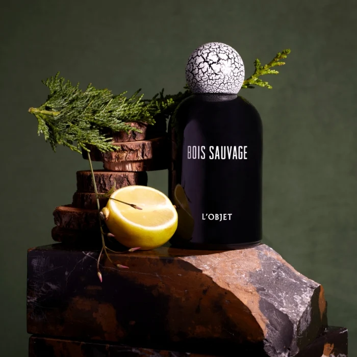 L'Objet - Bois Sauvage