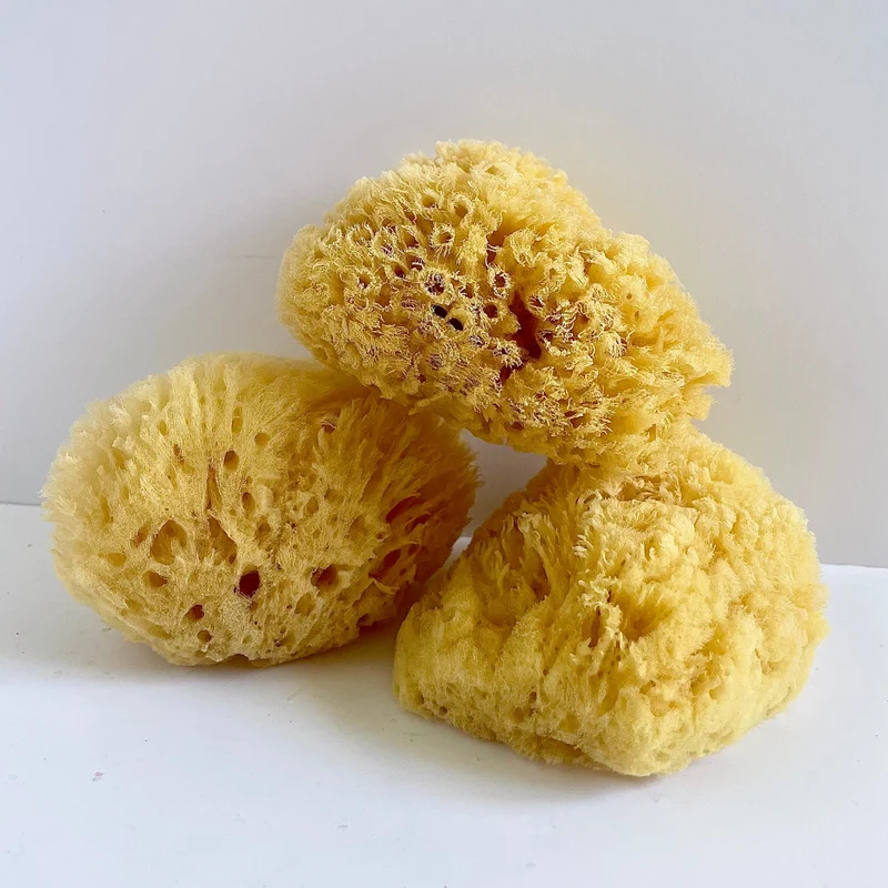 Natural Exfoliating Sea Bath Sponge
