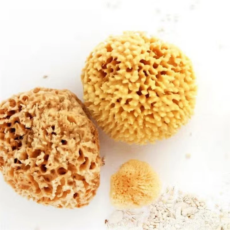 Natural Exfoliating Sea Bath Sponge
