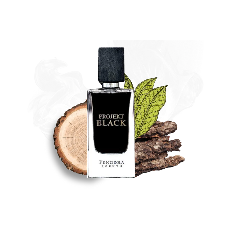 PROJEKT BLACK PENDORA