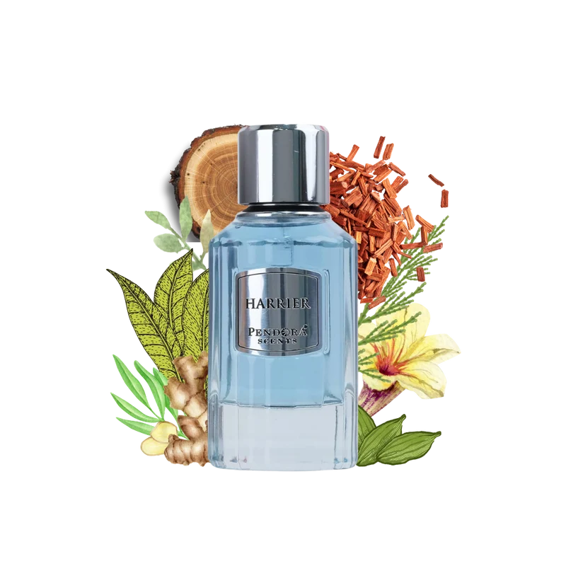 HARRIER PENDORA 50ml