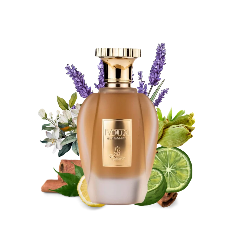 VOUX ELEGANTE EMIR