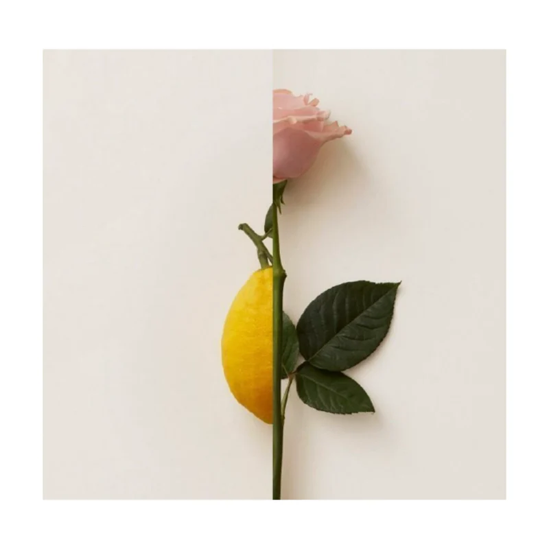 New Notes - Rosa Limone Extrait de Parfum 50ml