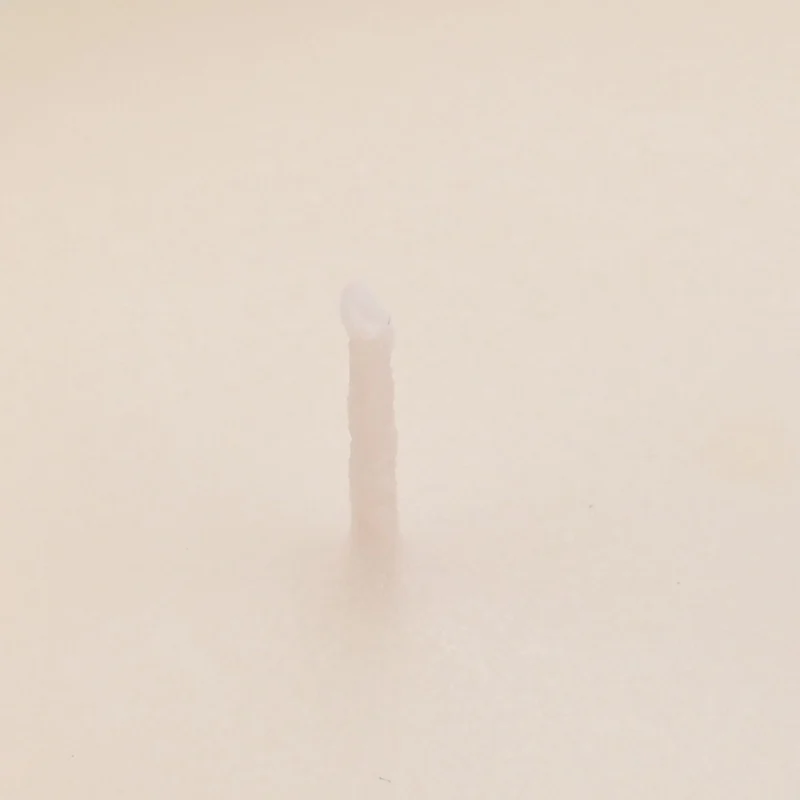LIVMORE - Duftkerze, 28 Std. Brenndauer, 150g, 4,5 ml ätherisches Öl, Jasmin und Neroli, Flieder